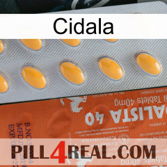 Cidala 43